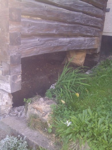 img-20120822-00311.jpg