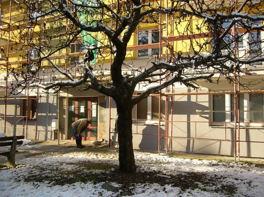 img08-4.jpg