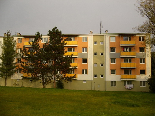 img11-2.jpg