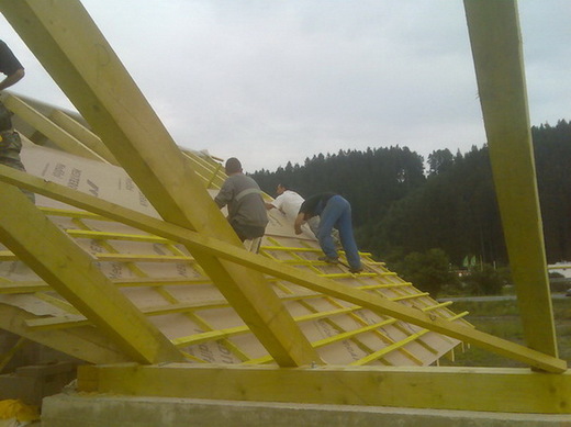 img13-12.jpg