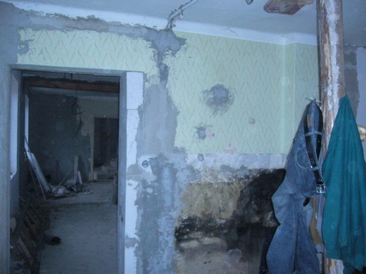 img42.jpg
